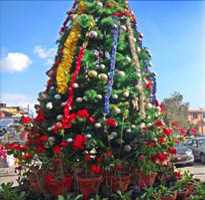 Christmas tree Christmas tree