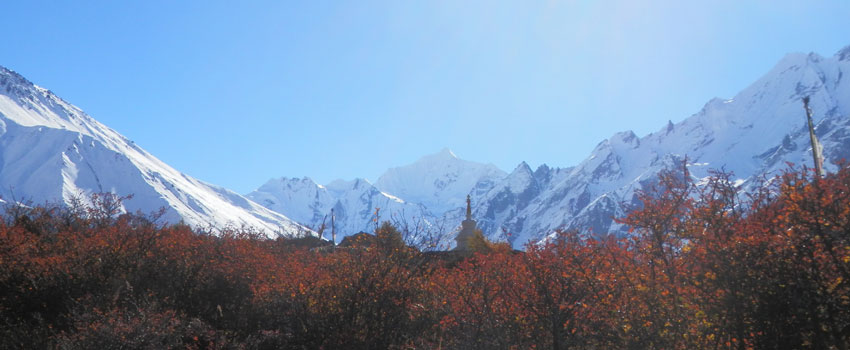 Langtang Region Langtang Region